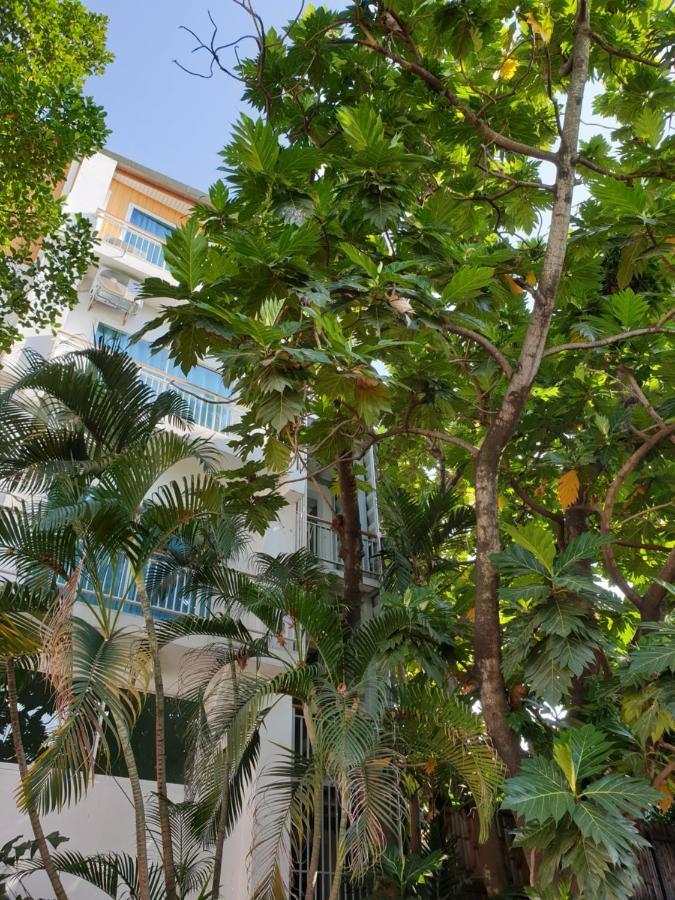 Hostel Breadfruit Chiang Mai Zewnętrze zdjęcie